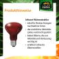Preview: Terra Exotica Infra Red - Infrarot Reflektorstrahler - 40 Watt
